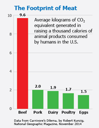 The Footprint of Meat